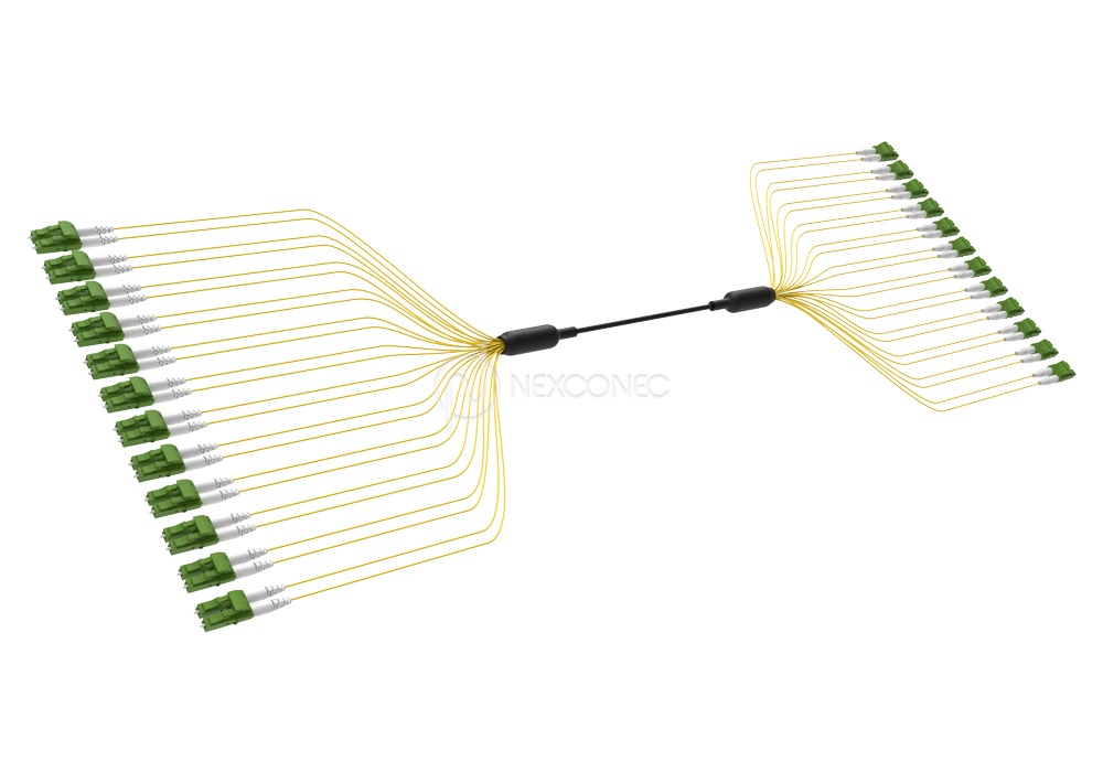 Loose Tube CST Preterms