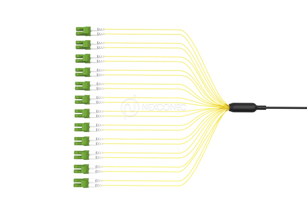 Loose Tube CST Preterms