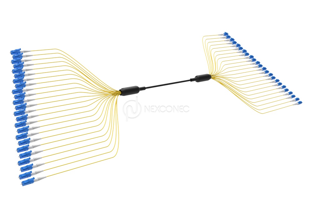 Loose Tube CST Preterms