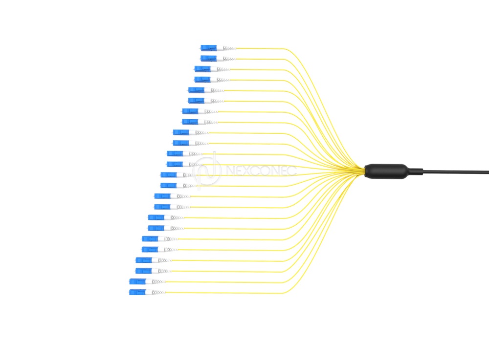 Loose Tube CST Preterms