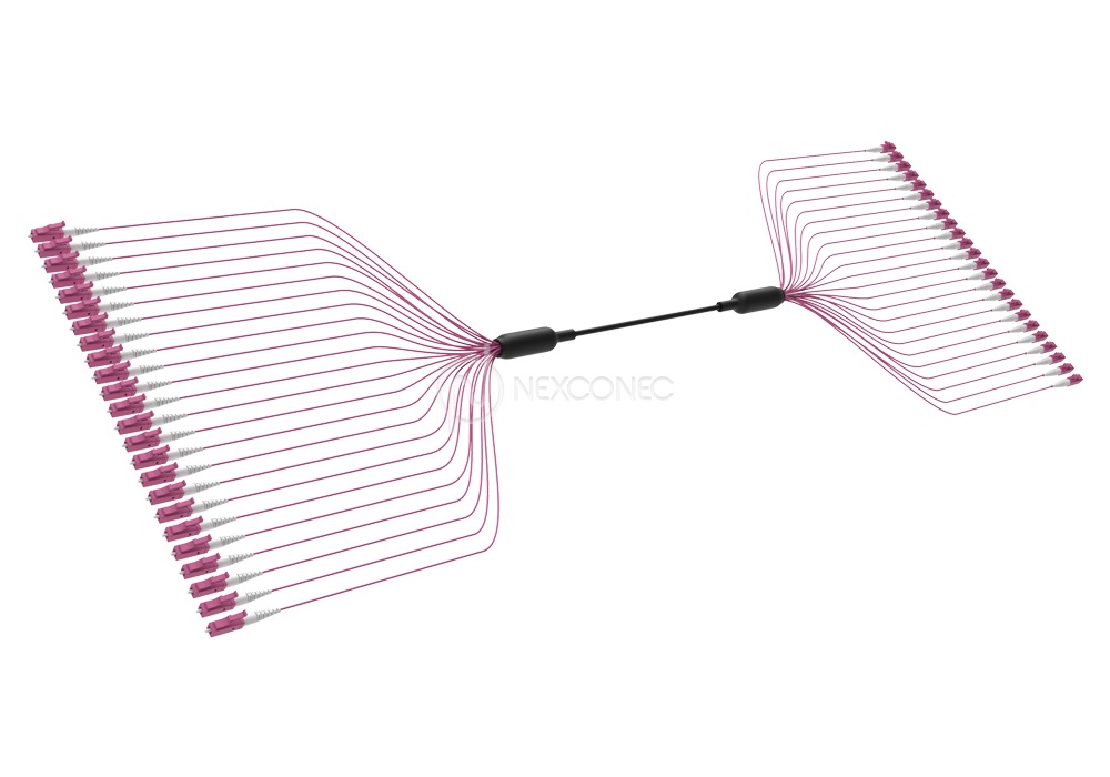 Loose Tube CST Preterms