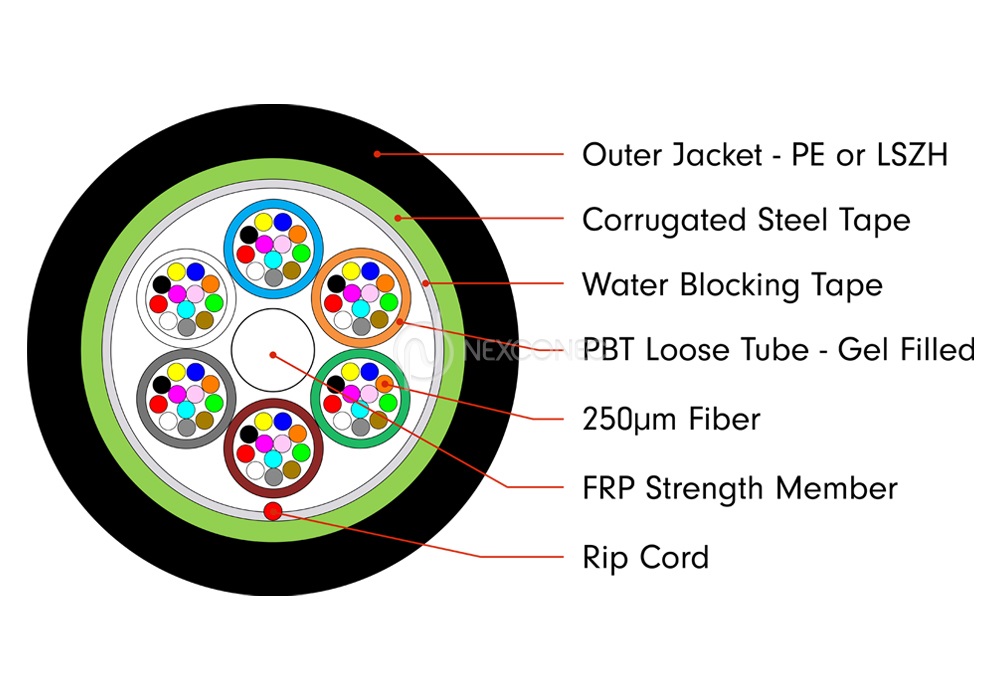 Loose Tube CST Preterms