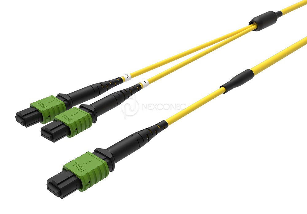 MTP/MPO Trunks 1x(Base-8) to 2x(Base-4)