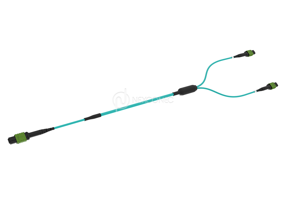 MTP/MPO Trunks 1x(Base-8) to 2x(Base-4)