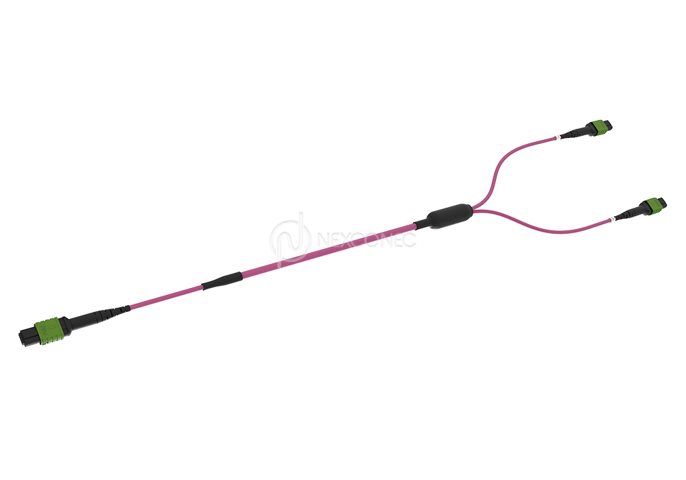 MTP/MPO Trunks 1x(Base-8) to 2x(Base-4)