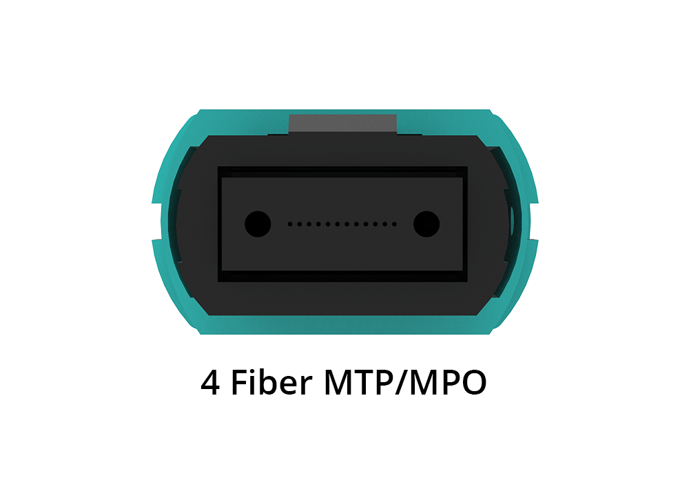 MTP/MPO Trunks 1x(Base-8) to 2x(Base-4)