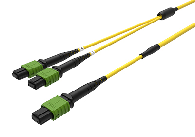 MTP/MPO Conversion Trunks 1x(Base-8) to 2x(Base-4)