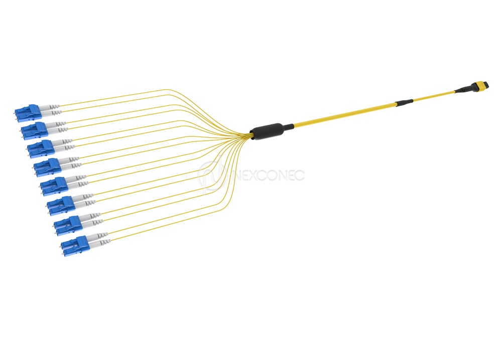 MTP LC Fan-out base-16