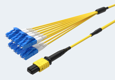 MTP/MPO Fanout and Harness