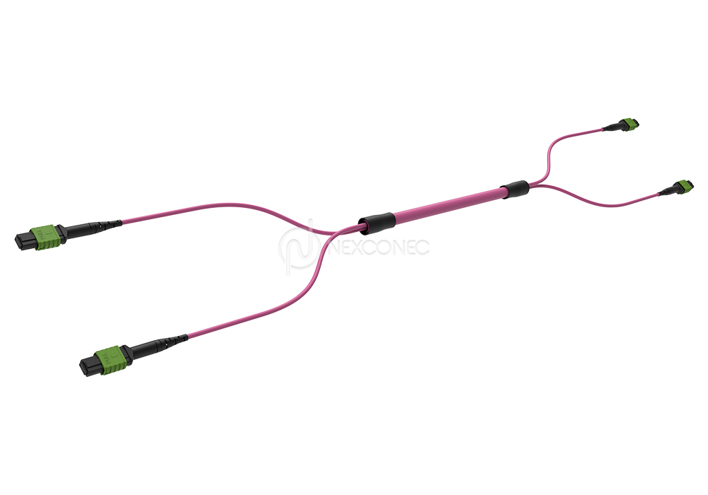 MPO (APC) MM OM4 Trunks